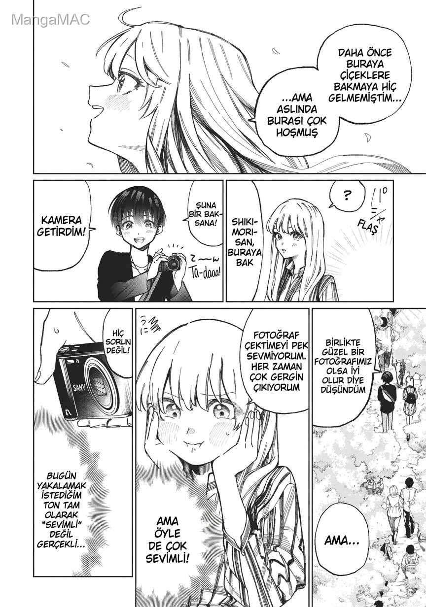 Shikimori's Not Just a Cutie Bölüm 13.5 - Sayfa 3