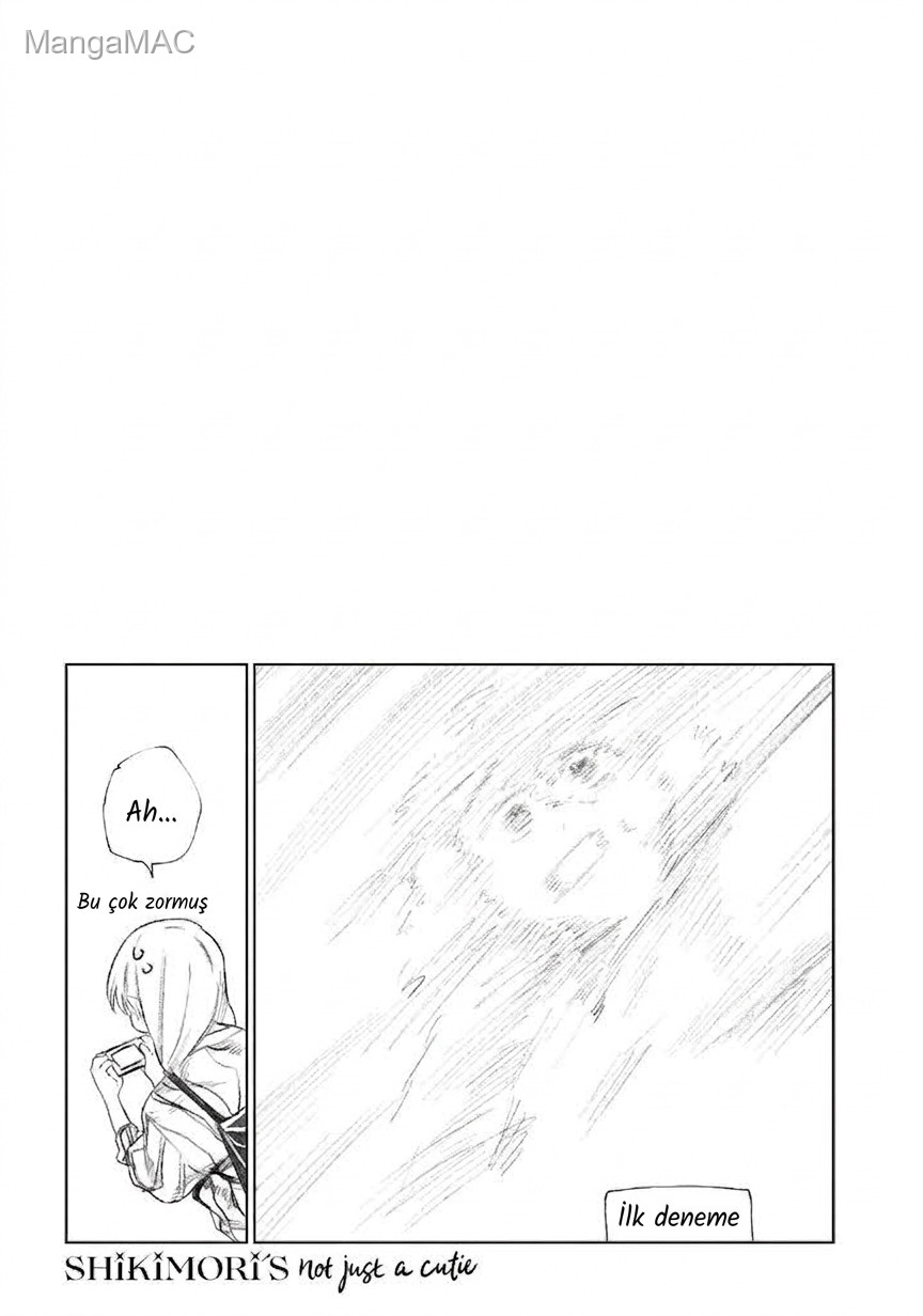 Shikimori's Not Just a Cutie Bölüm 13.5 - Sayfa 10