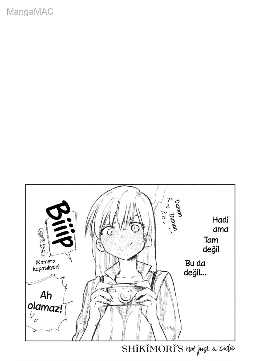 Shikimori's Not Just a Cutie Bölüm 13.5 - Sayfa 11