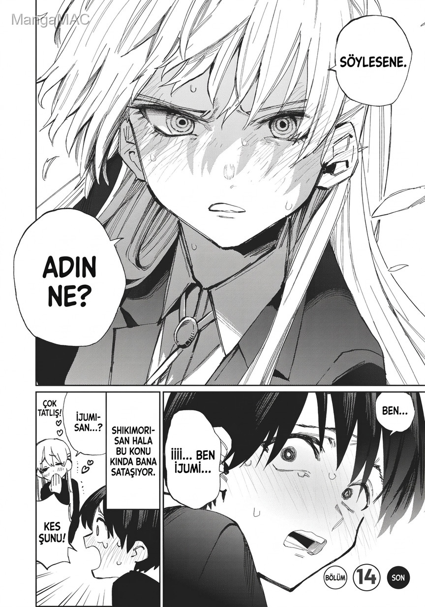Shikimori's Not Just a Cutie Bölüm 14 - Sayfa 5