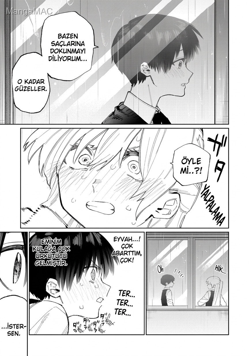Shikimori's Not Just a Cutie Bölüm 17 - Sayfa 8