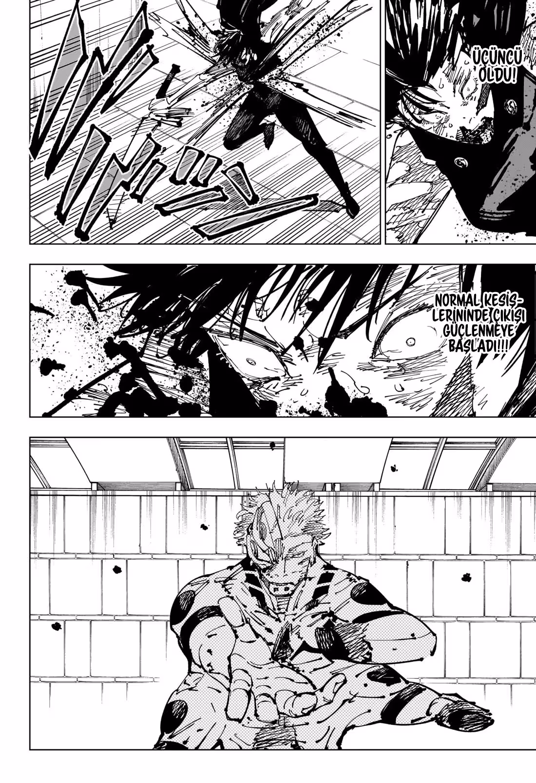 Jujutsu Kaisen Bölüm 256 - Sayfa 8