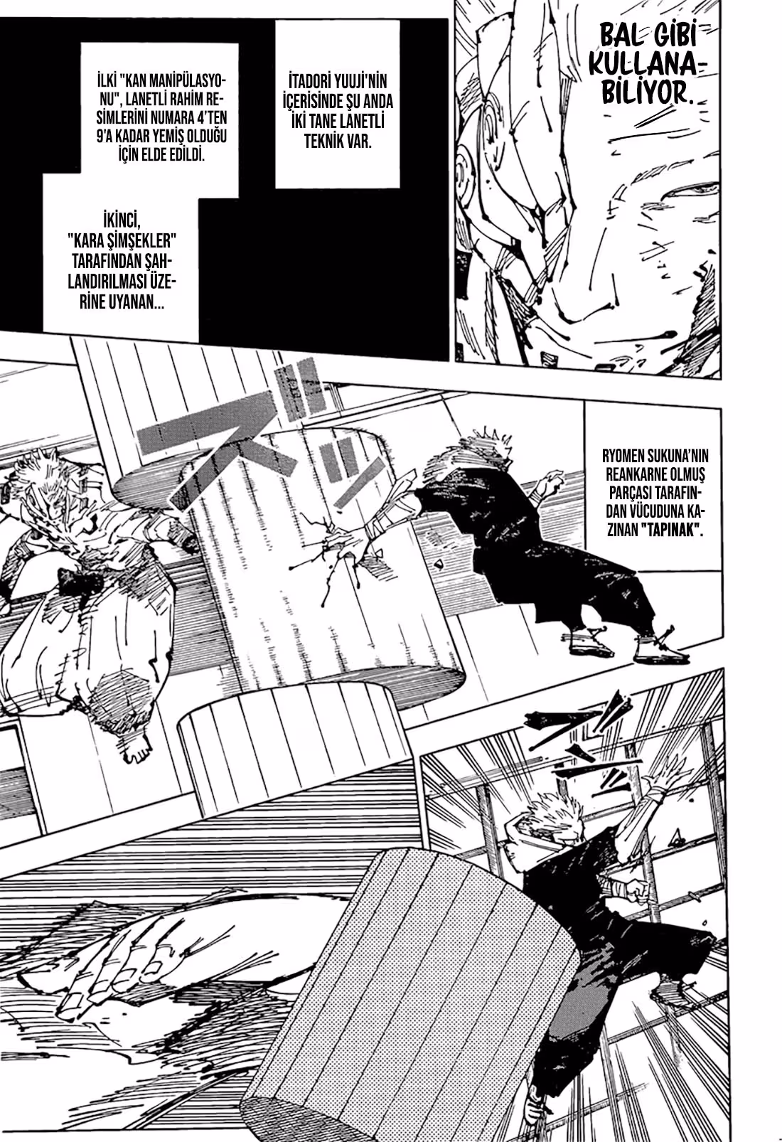 Jujutsu Kaisen Bölüm 257 - Sayfa 7