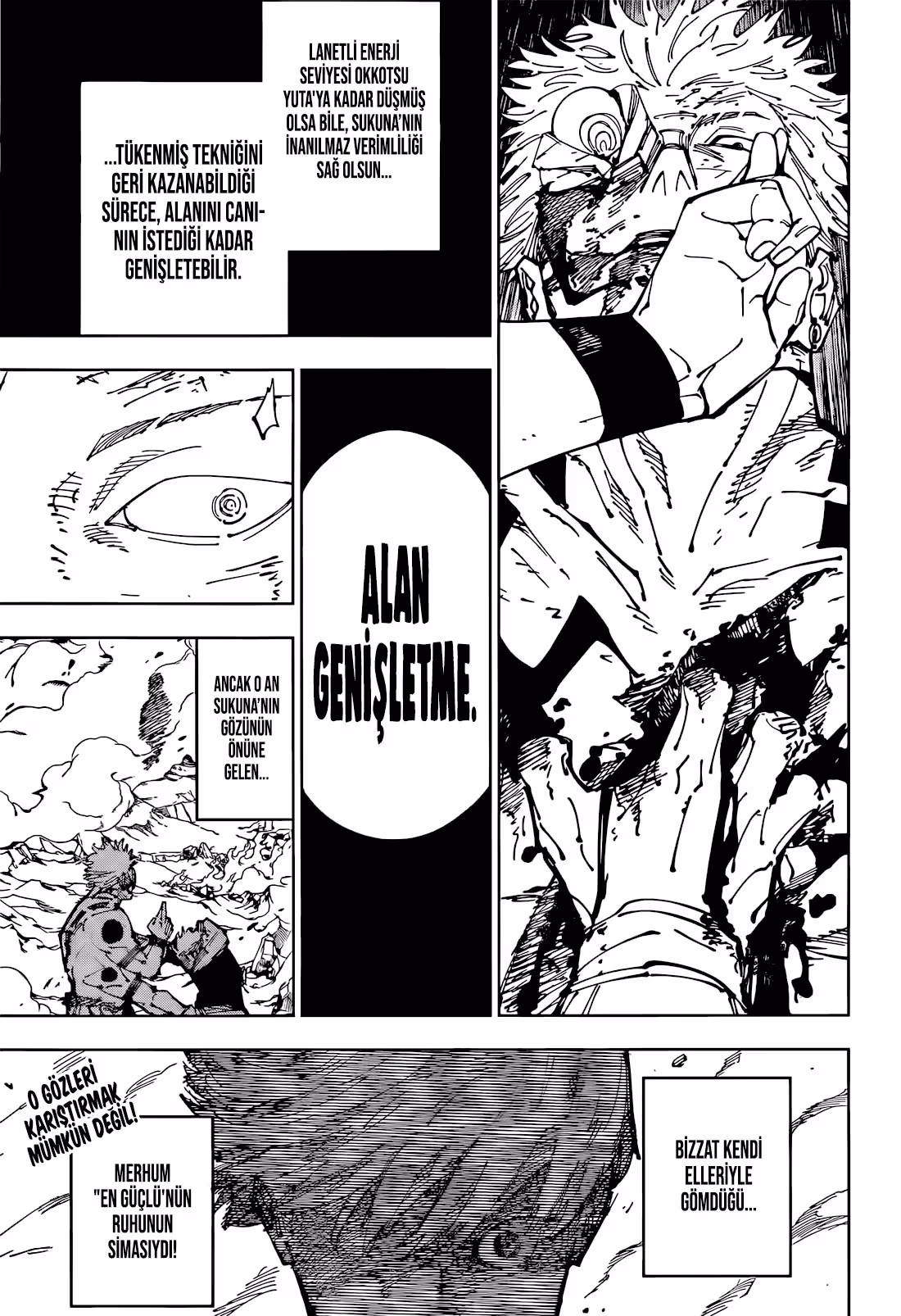 Jujutsu Kaisen Bölüm 260 - Sayfa 17