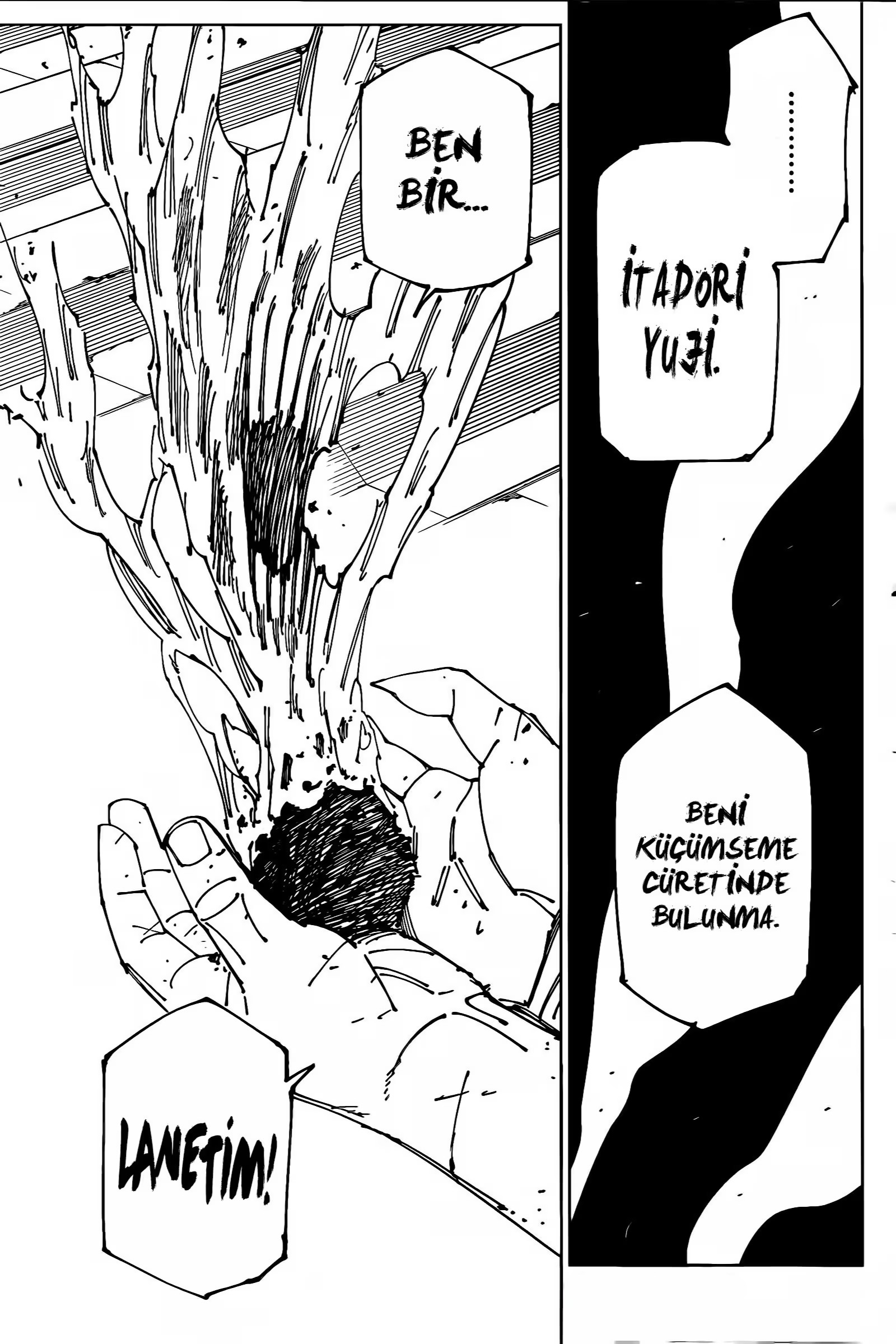 Jujutsu Kaisen Bölüm 268 - Sayfa 8