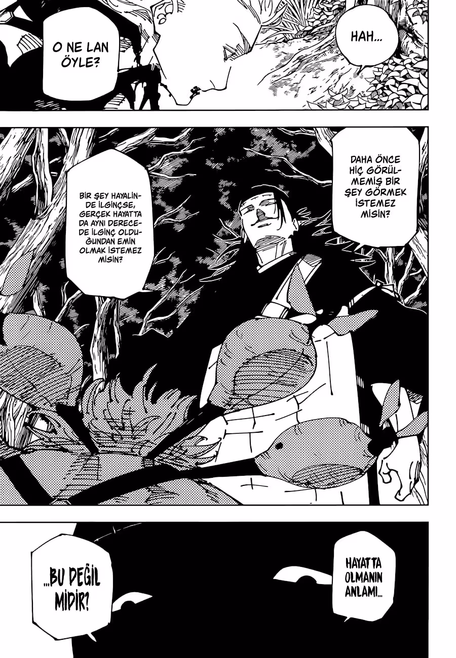 Jujutsu Kaisen Bölüm 239 - Sayfa 13