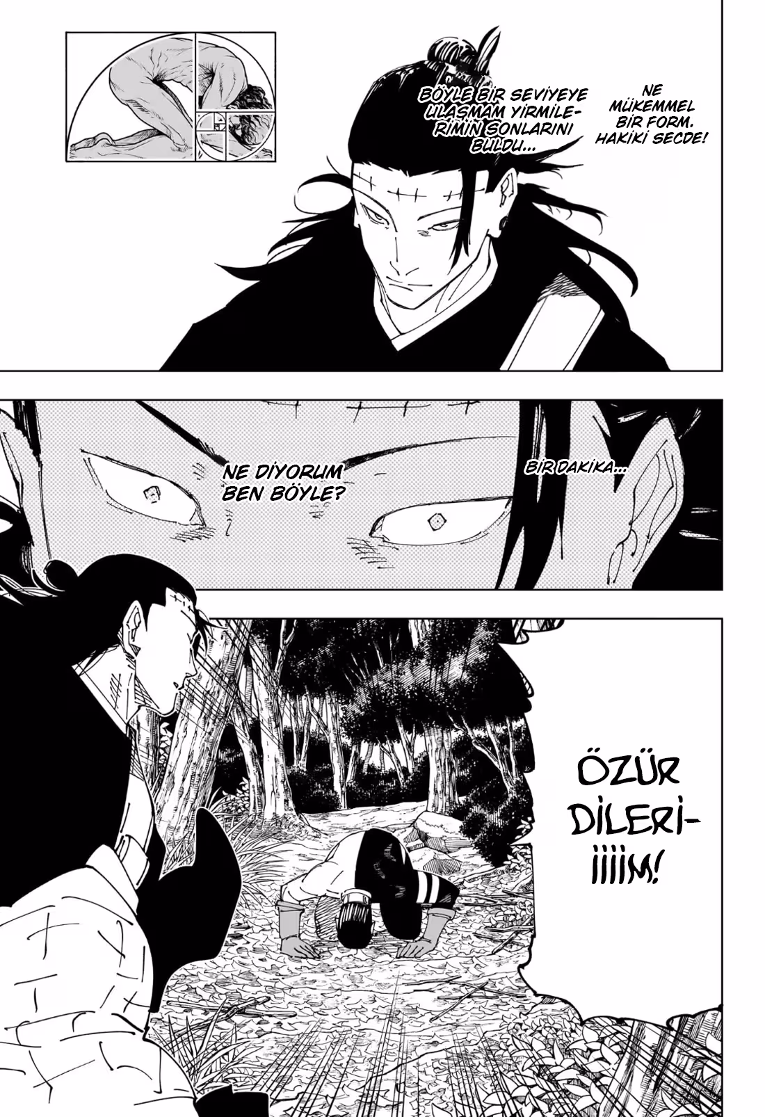 Jujutsu Kaisen Bölüm 241 - Sayfa 17