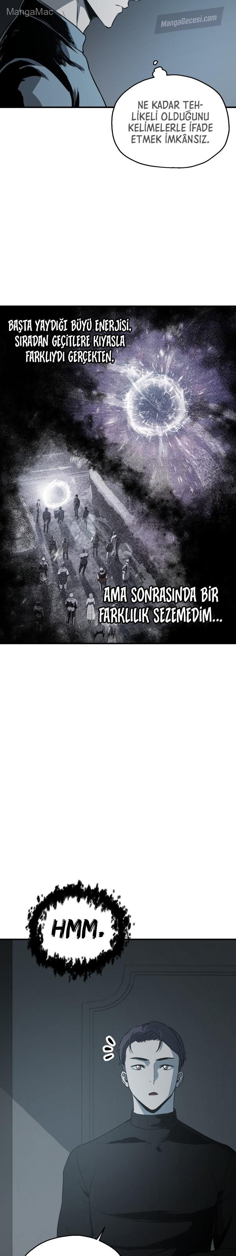 Sayfa 17