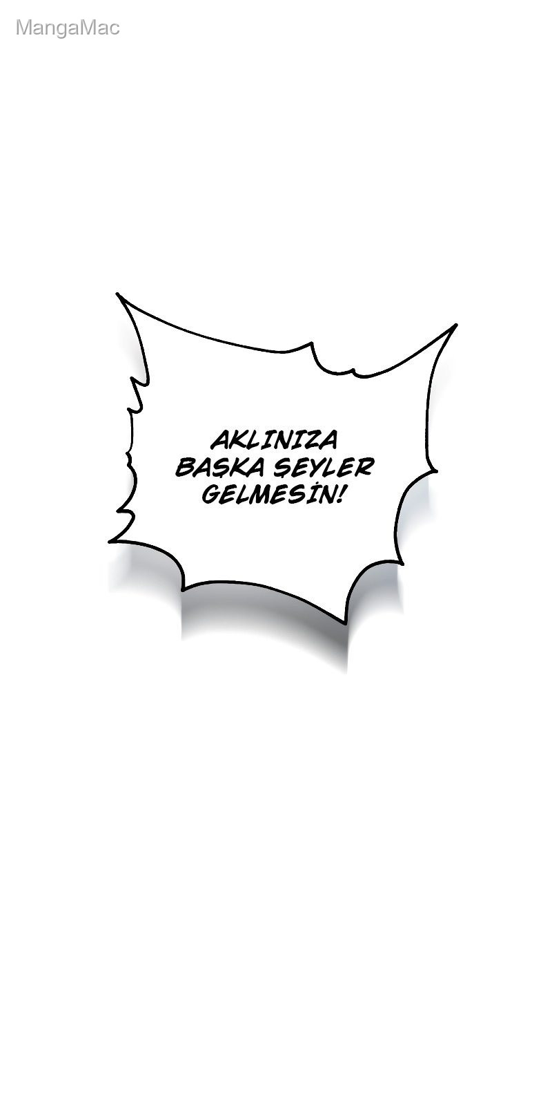 Sayfa 8