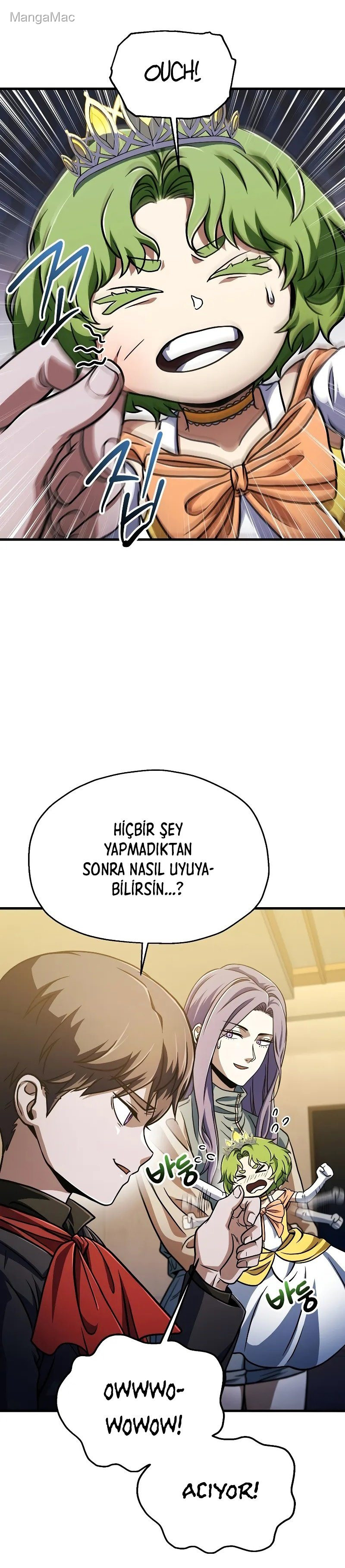 Sayfa 17